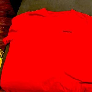 Patagonia mens tshirt